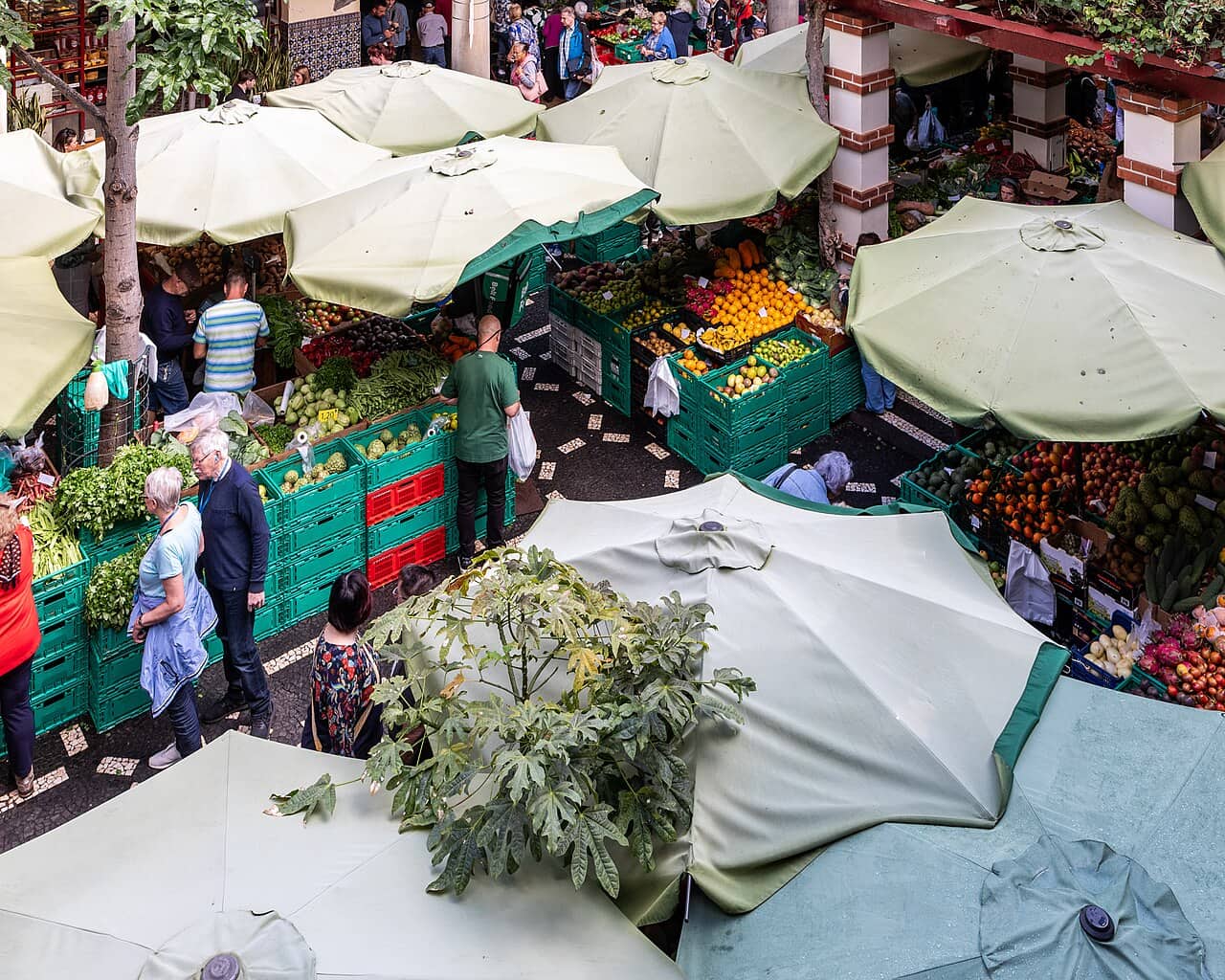 Stalls and umbrellas fill the Mercado dos Lavradores courtyard, a stop on a walk through Funchal.