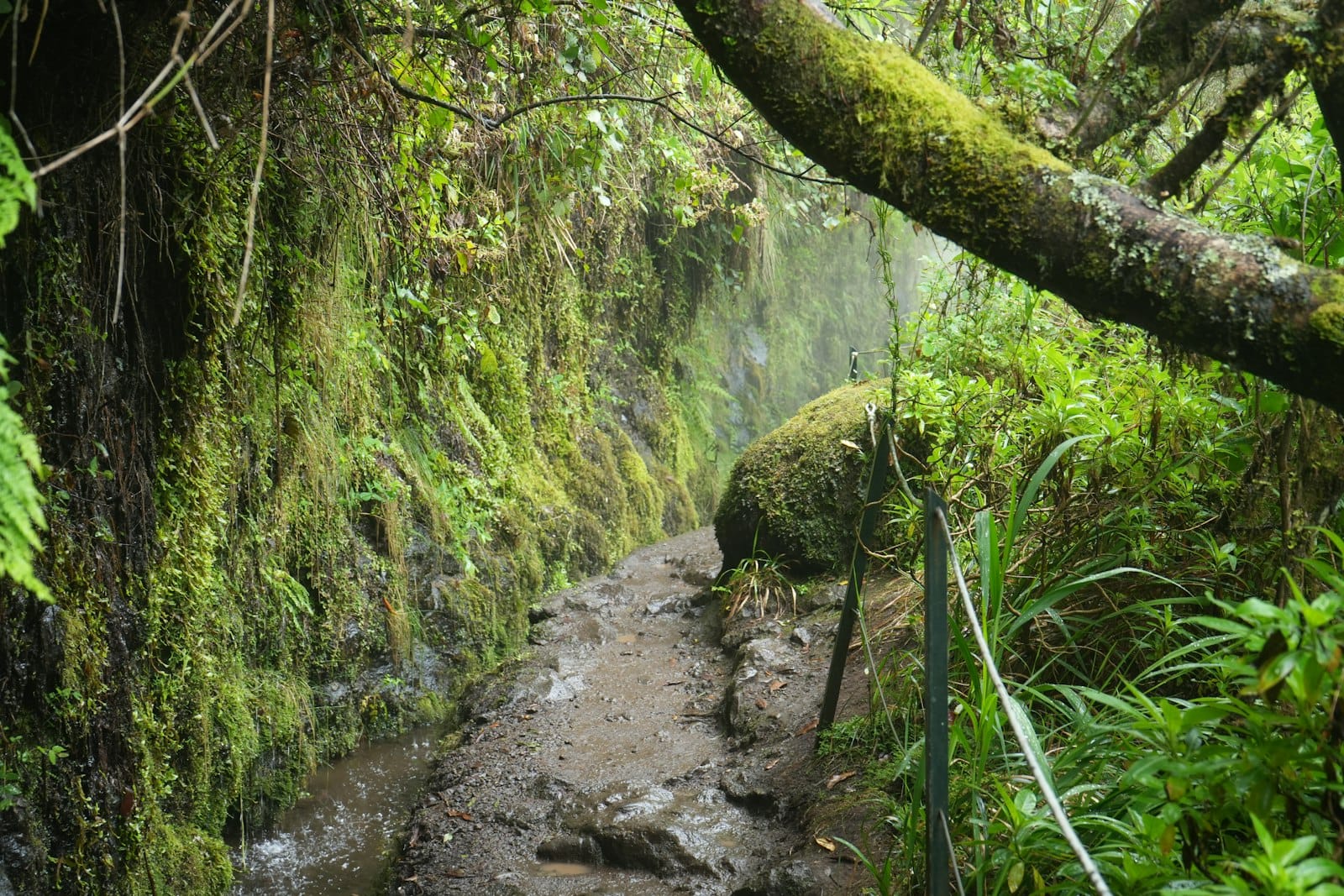 25 Fontes waterfalls on the Rabaçal levada trail, Madeira